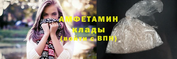 ПСИЛОЦИБИНОВЫЕ ГРИБЫ Дмитриев