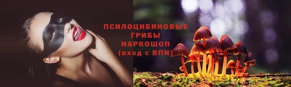 МДМА Дмитровск