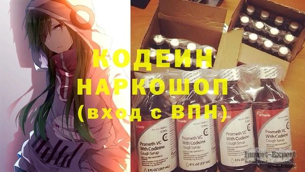 ГАЛЛЮЦИНОГЕННЫЕ ГРИБЫ Гусиноозёрск