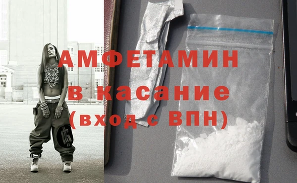 ПСИЛОЦИБИНОВЫЕ ГРИБЫ Дмитриев