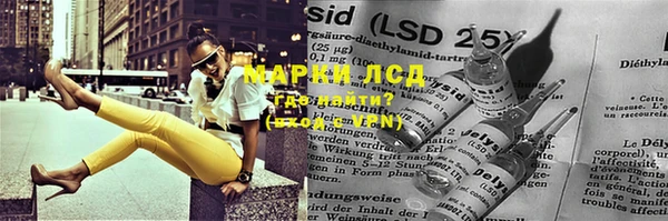 ГАЛЛЮЦИНОГЕННЫЕ ГРИБЫ Гусиноозёрск