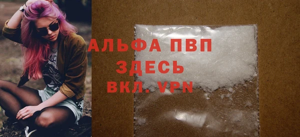 ПСИЛОЦИБИНОВЫЕ ГРИБЫ Дмитриев