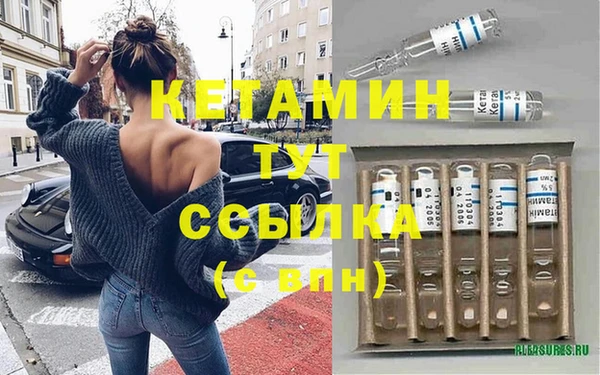 ПСИЛОЦИБИНОВЫЕ ГРИБЫ Дмитриев