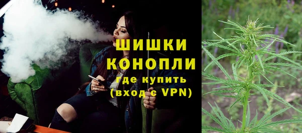 ГАЛЛЮЦИНОГЕННЫЕ ГРИБЫ Гусиноозёрск